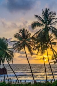 Goa